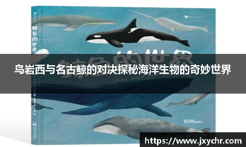 币游国际官方入口